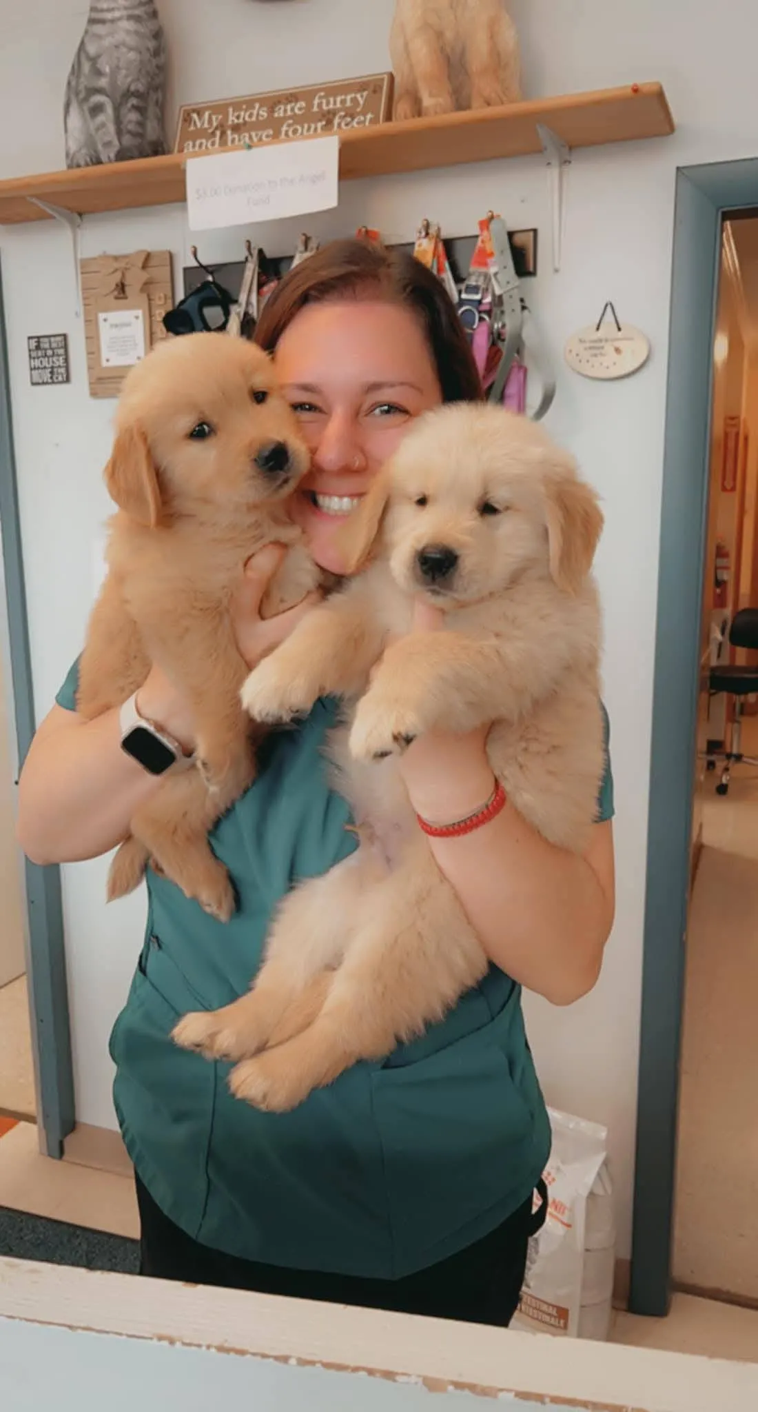 About Lotti's Grooming Lounge